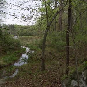 Photo #53 of Lot 361 Clear Point Run, Lynch Station, VA 3.7 acres