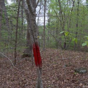 Photo #51 of Lot 361 Clear Point Run, Lynch Station, VA 3.7 acres