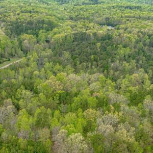 Photo #26 of Lot 361 Clear Point Run, Lynch Station, VA 3.7 acres