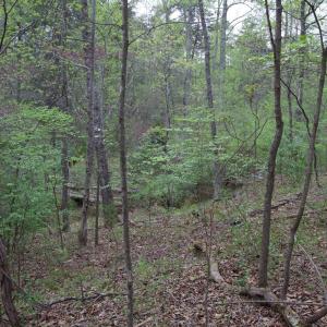 Photo #48 of Lot 361 Clear Point Run, Lynch Station, VA 3.7 acres