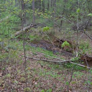 Photo #52 of Lot 361 Clear Point Run, Lynch Station, VA 3.7 acres