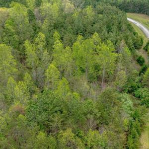 Photo #13 of Lot 361 Clear Point Run, Lynch Station, VA 3.7 acres