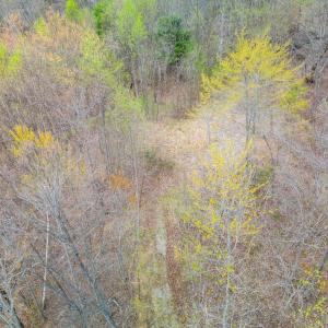 Photo #8 of Wares Gap Road, Monroe, VA 69.2 acres
