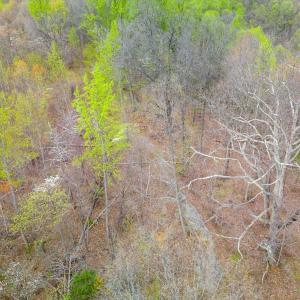 Photo #5 of Wares Gap Road, Monroe, VA 69.2 acres