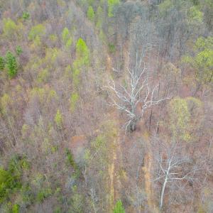 Photo #10 of Wares Gap Road, Monroe, VA 69.2 acres