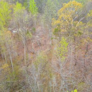 Photo #4 of Wares Gap Road, Monroe, VA 69.2 acres