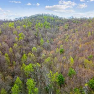 Photo #30 of Wares Gap Road, Monroe, VA 69.2 acres