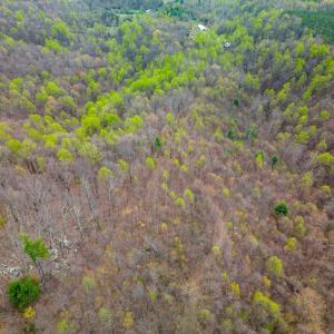 Photo #24 of Wares Gap Road, Monroe, VA 69.2 acres