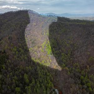 Photo #2 of Wares Gap Road, Monroe, VA 69.2 acres