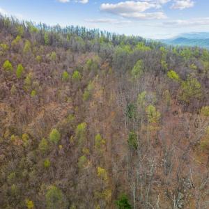 Photo #17 of Wares Gap Road, Monroe, VA 69.2 acres