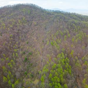 Photo #13 of Wares Gap Road, Monroe, VA 69.2 acres