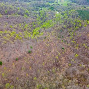 Photo #23 of Wares Gap Road, Monroe, VA 69.2 acres