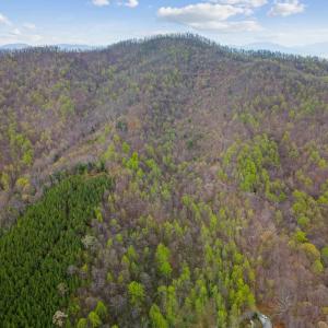 Photo #1 of Wares Gap Road, Monroe, VA 69.2 acres