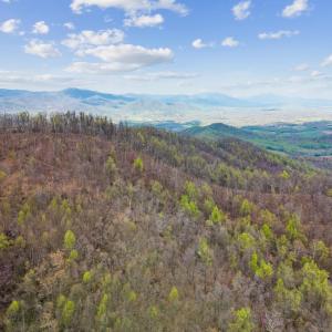 Photo #18 of Wares Gap Road, Monroe, VA 69.2 acres