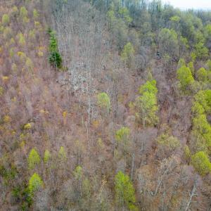 Photo #27 of Wares Gap Road, Monroe, VA 69.2 acres