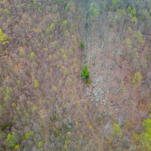 Photo #16 of Wares Gap Road, Monroe, VA 69.2 acres