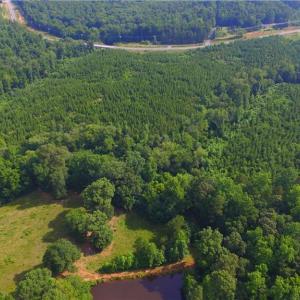 Photo #44 of 10822 Pettus Farm, Indian Land, SC 57.0 acres