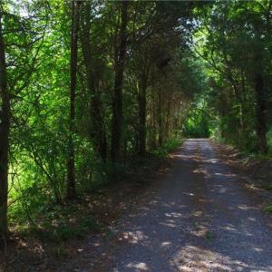 Photo #24 of 10822 Pettus Farm, Indian Land, SC 57.0 acres