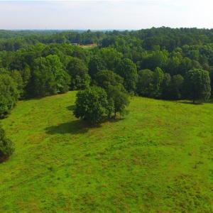 Photo #22 of 10822 Pettus Farm, Indian Land, SC 57.0 acres