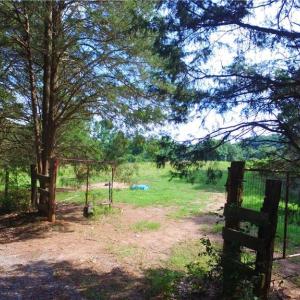 Photo #23 of 10822 Pettus Farm, Indian Land, SC 57.0 acres