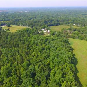 Photo #35 of 10822 Pettus Farm, Indian Land, SC 57.0 acres