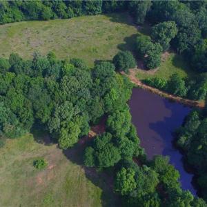 Photo #45 of 10822 Pettus Farm, Indian Land, SC 57.0 acres