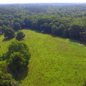 Photo #27 of 10822 Pettus Farm, Indian Land, SC 57.0 acres