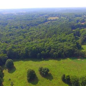 Photo #33 of 10822 Pettus Farm, Indian Land, SC 57.0 acres