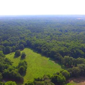 Photo #32 of 10822 Pettus Farm, Indian Land, SC 57.0 acres