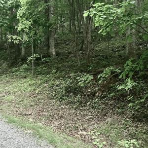 Photo #1 of Sawmill Road, Bedford, VA 6.4 acres