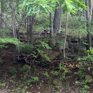 Photo #10 of Sawmill Road, Bedford, VA 6.4 acres