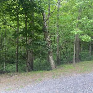 Photo #9 of Sawmill Road, Bedford, VA 6.4 acres