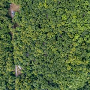 Photo #4 of Sawmill Road, Bedford, VA 6.4 acres