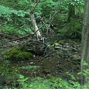 Photo #13 of Sawmill Road, Bedford, VA 6.4 acres