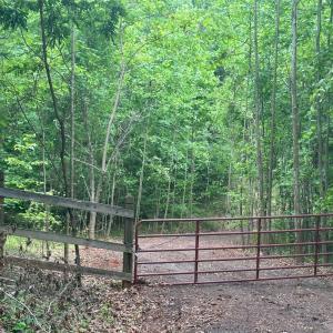 Photo #1 of Burgess Road, Madison Heights, VA 7.9 acres