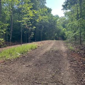 Photo #8 of Burgess Road, Madison Heights, VA 7.9 acres
