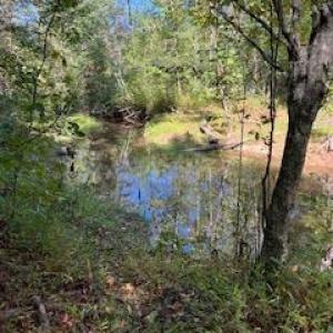 Photo #12 of 3200 Tobacco Road, Nathalie, VA 20.2 acres