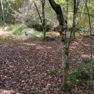 Photo #11 of 3200 Tobacco Road, Nathalie, VA 20.2 acres