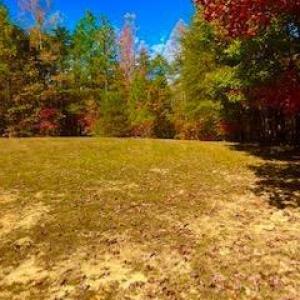 Photo #3 of 3200 Tobacco Road, Nathalie, VA 20.2 acres