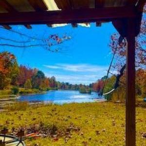 Photo #4 of 3200 Tobacco Road, Nathalie, VA 20.2 acres