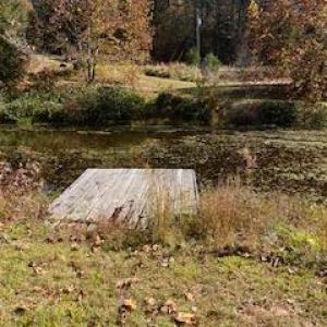 Photo #5 of 3200 Tobacco Road, Nathalie, VA 20.2 acres