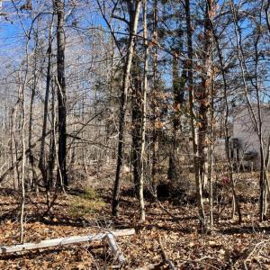 Photo #31 of 3200 Tobacco Road, Nathalie, VA 20.2 acres