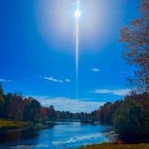 Photo #6 of 3200 Tobacco Road, Nathalie, VA 20.2 acres