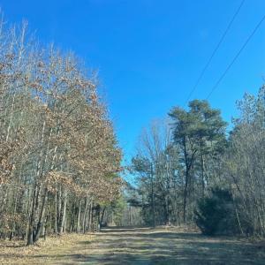 Photo #20 of 3200 Tobacco Road, Nathalie, VA 20.2 acres