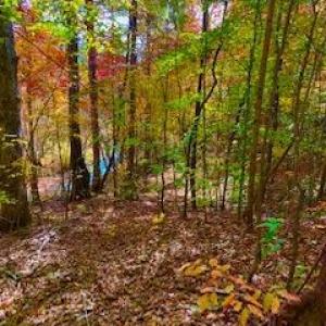 Photo #7 of 3200 Tobacco Road, Nathalie, VA 20.2 acres