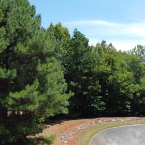 Photo #4 of Hidden Cove Lane, Lynch Station, VA 0.6 acres