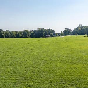 Photo #8 of Doyles Run, Forest, VA 6.4 acres