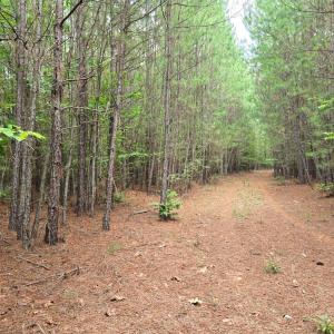 Photo #1 of Mountain Cut Rd, Appomattox, VA 64.1 acres