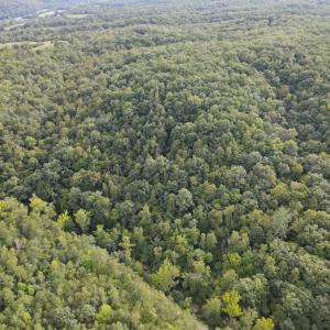 Photo #7 of Trey Court, Madison Heights, VA 16.3 acres