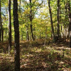 Photo #1 of Trey Court, Madison Heights, VA 16.3 acres